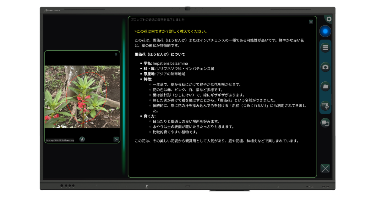 画像が削除されました